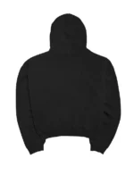 skylrk coachella hoodie biebervelli black (2)